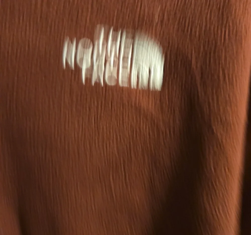 The North Face Men's Zip-Up Fleece Pullover - Rust